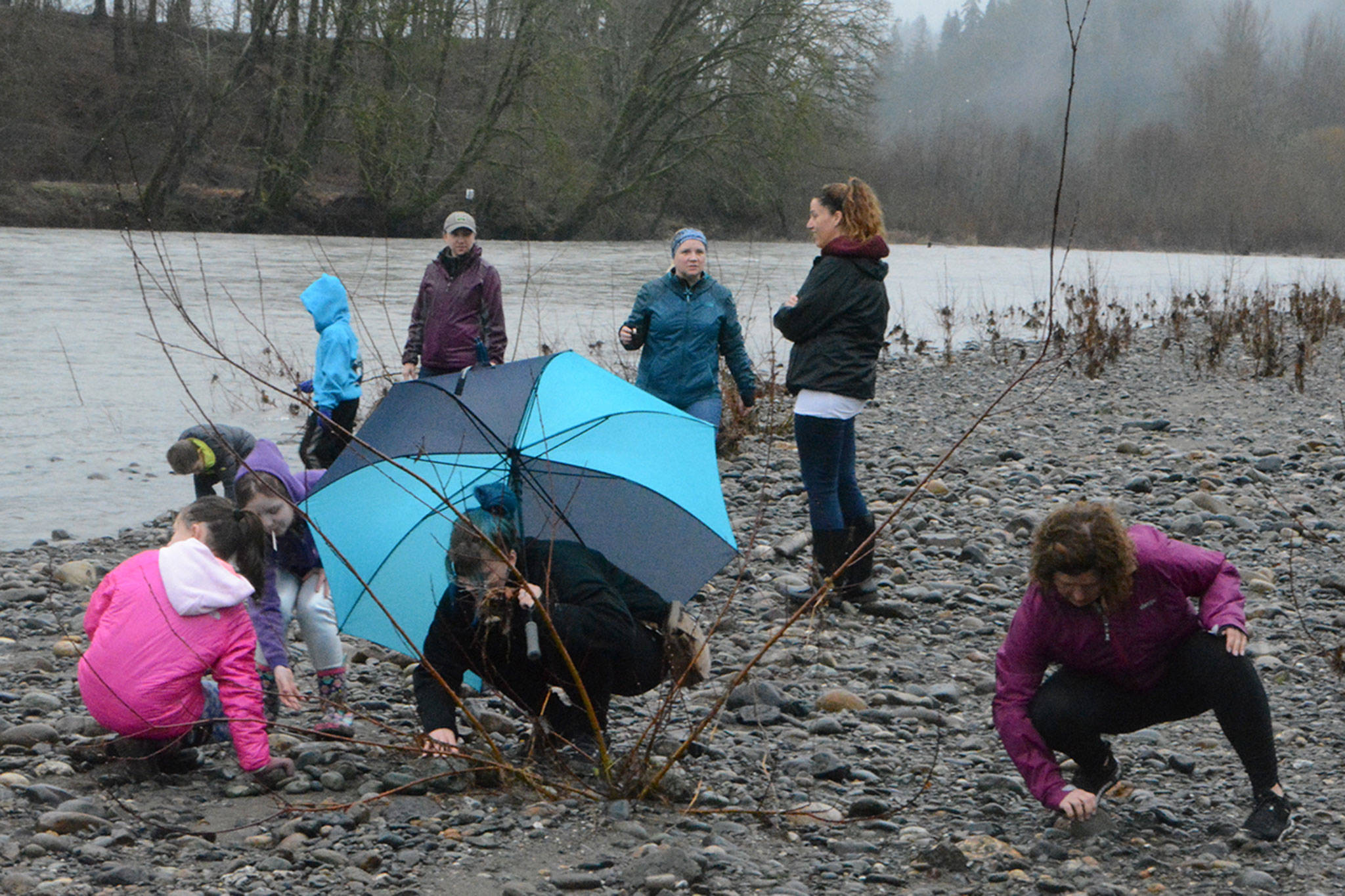 About 50 hike nature trail during Eagle Festival