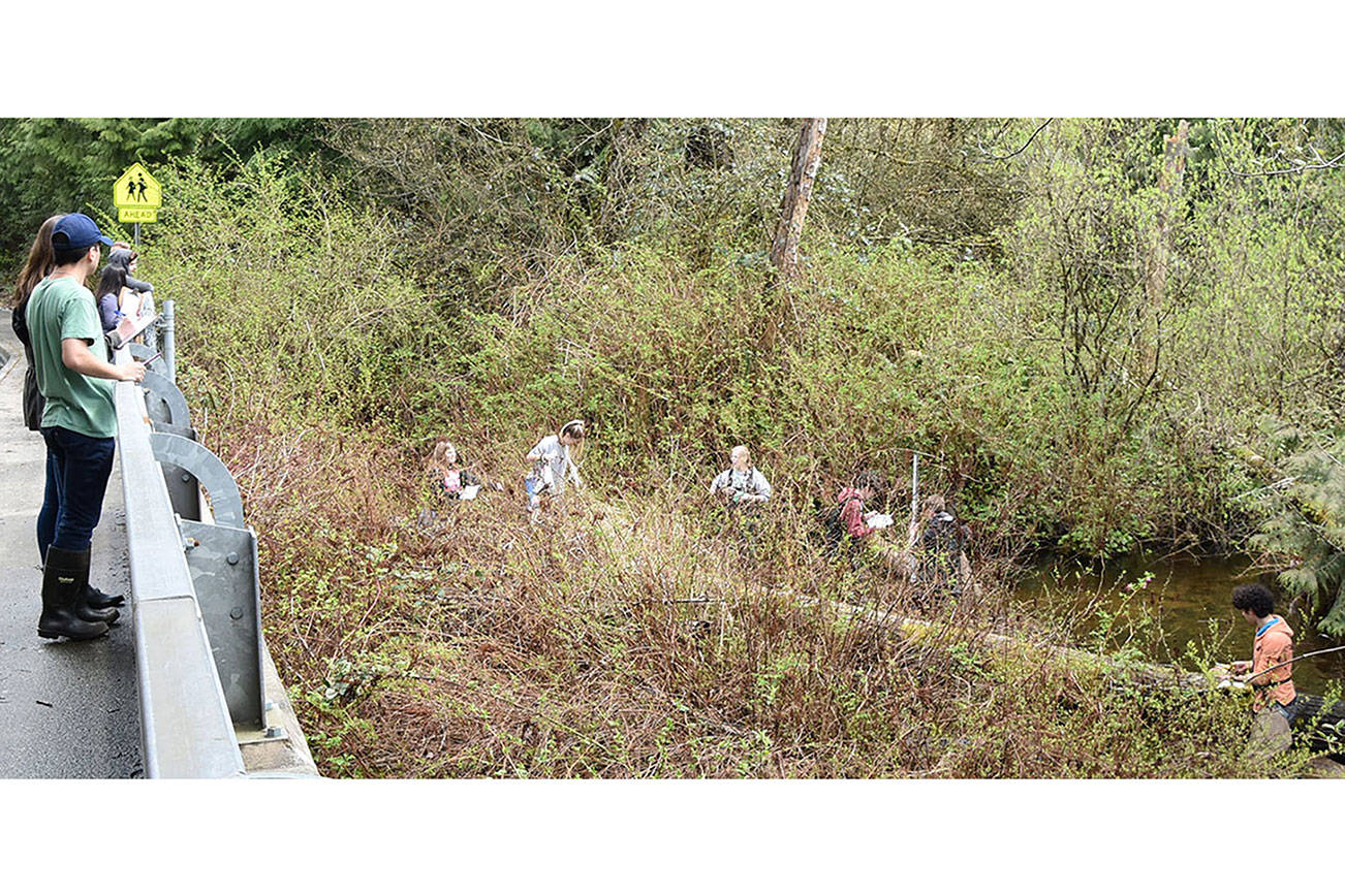 Arlington students clean up Portage Creek