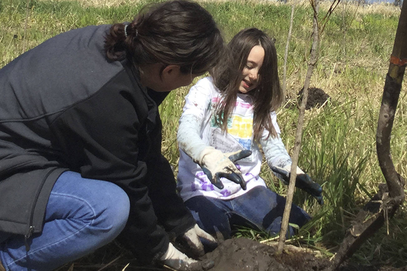 Volunteers with love for trees join Earth Day planting for Quilceda Creek