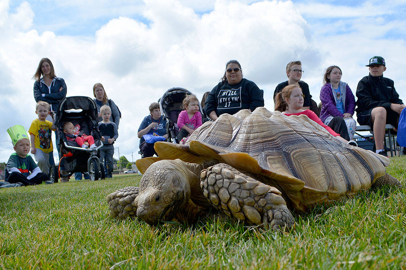 Active kids stand out in Party in the Park in Marysville (slide show)