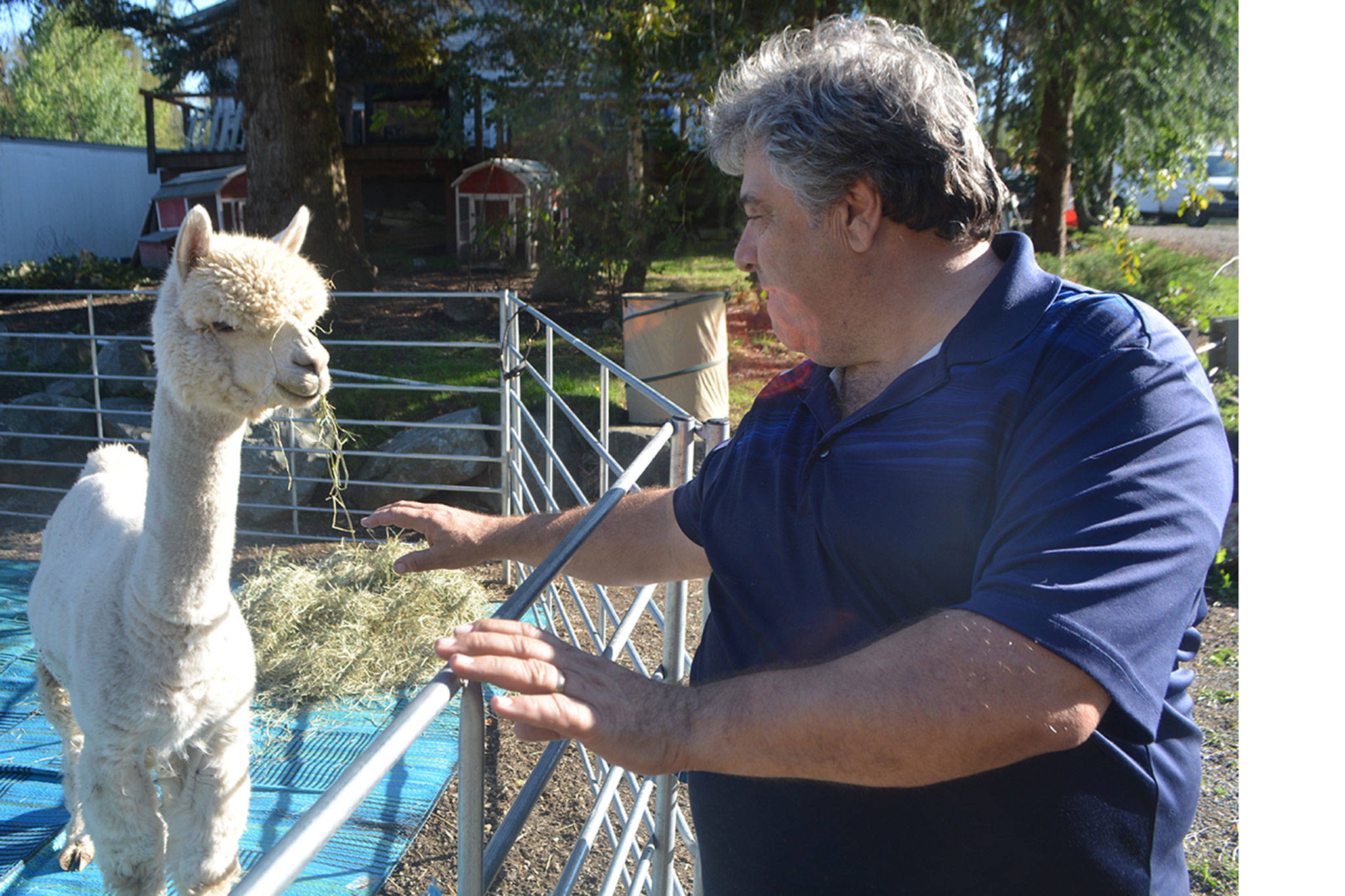 Can’t buy me love, but come close with alpaca fleece clothes (slide show)