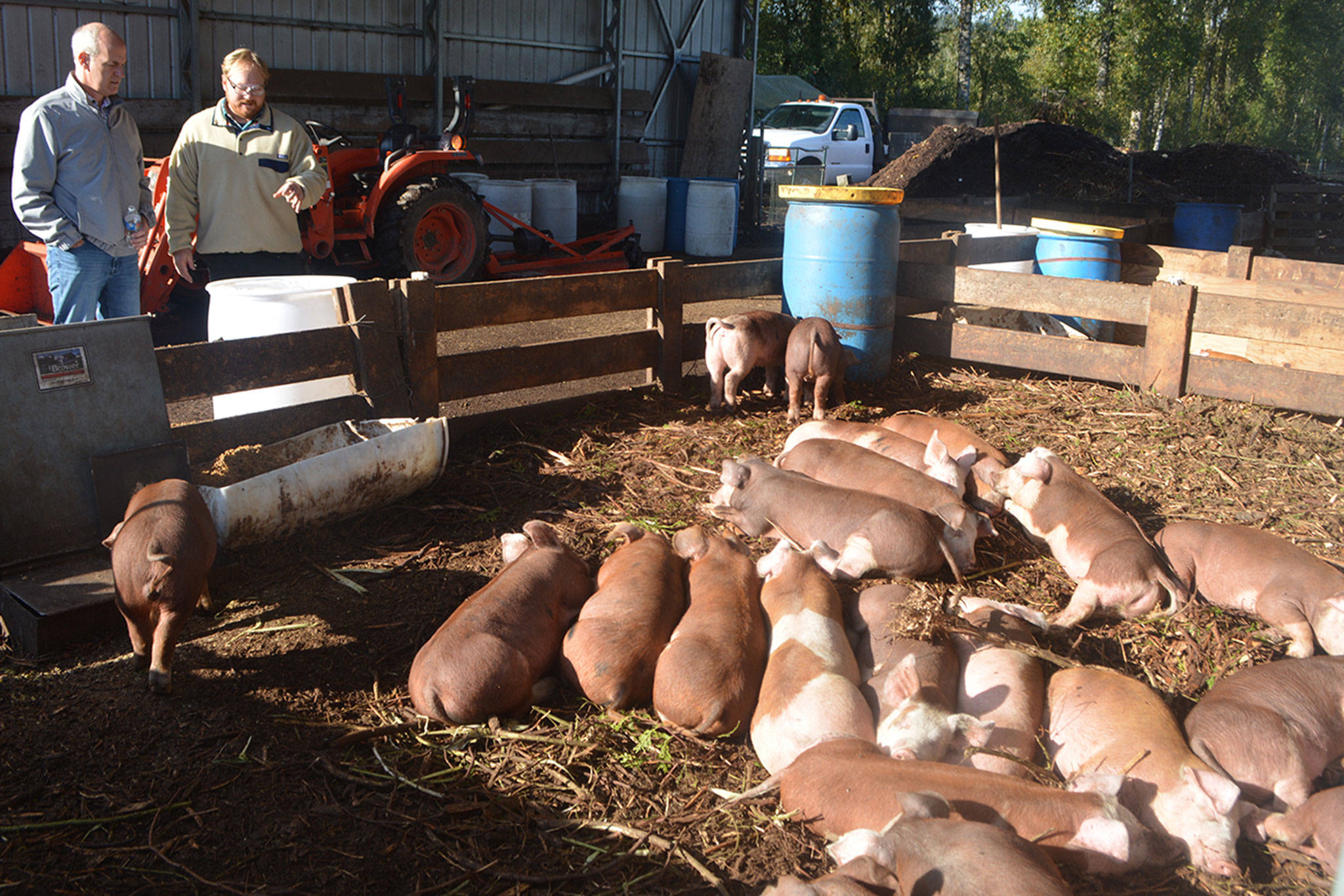 Local pig farmer tells Larsen he doesn’t live high on the hog (slide show)