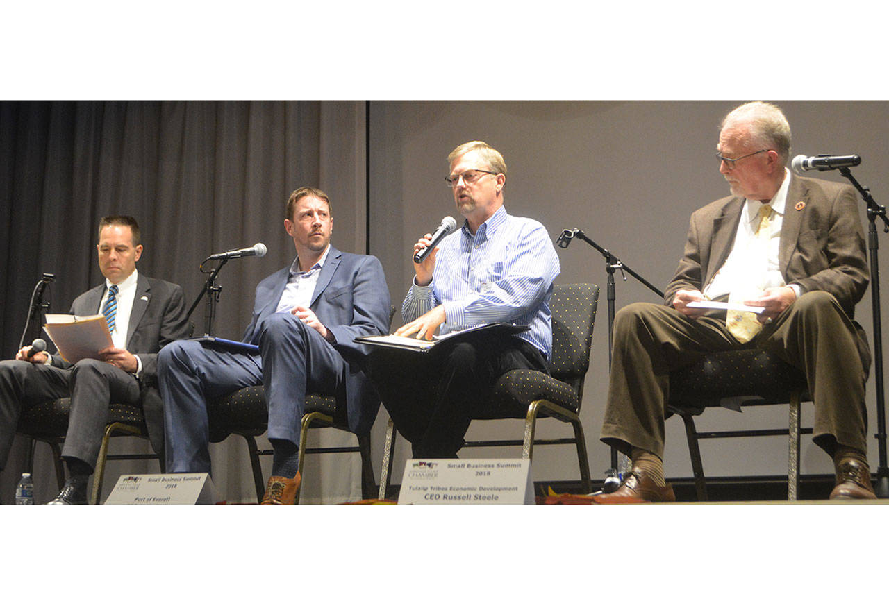 Business booming in north county, summit participants told