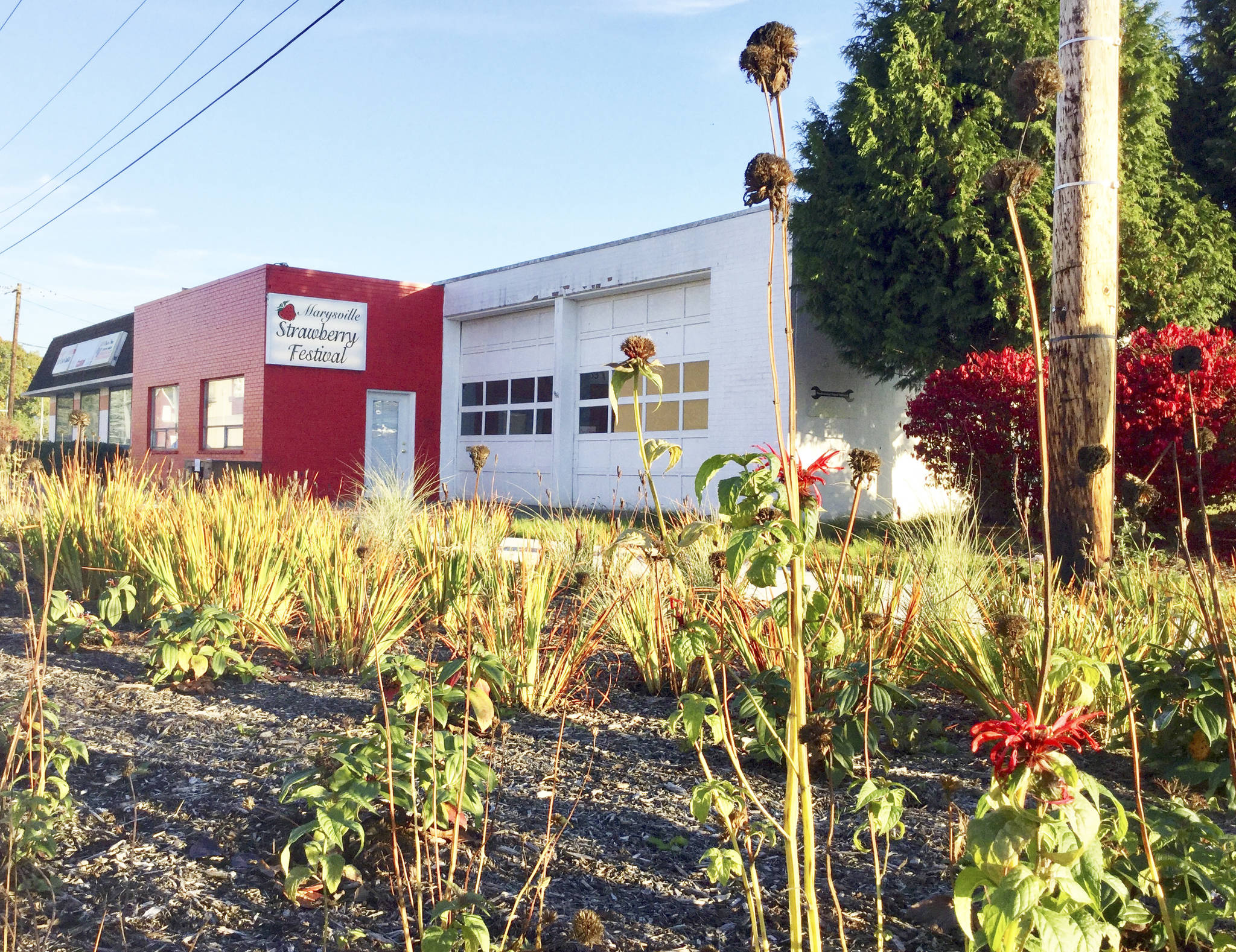 An Oct. 25 open house is planned for the Marysville Strawberry Festivals new location at 1412 First St. in front of Ebey Waterfront Park.
