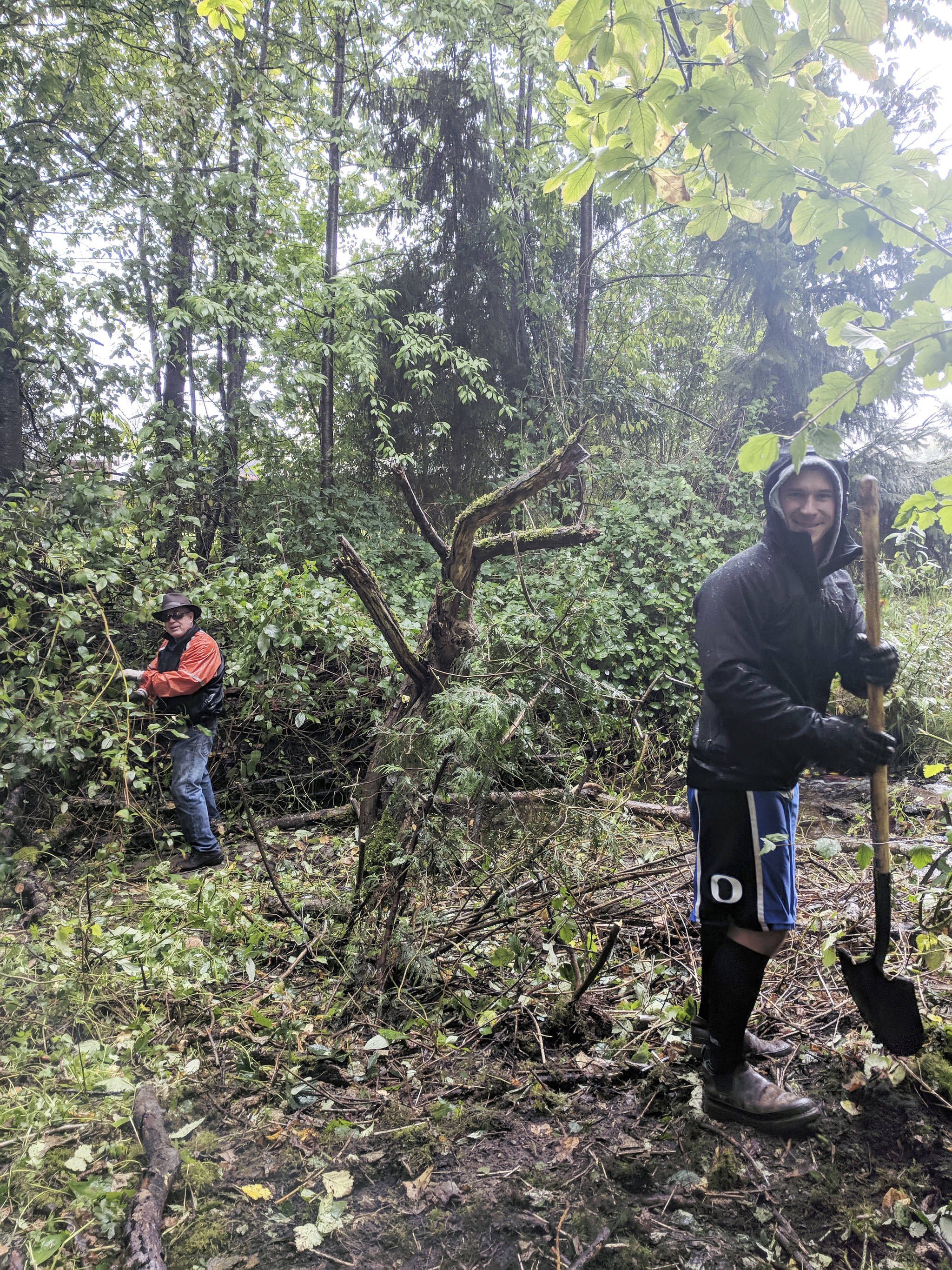 From left, Arlington Rotarians Lee Harman and Devin Brossard remove sticker bushes and invasive plant roots along the banks of Portage Creek.