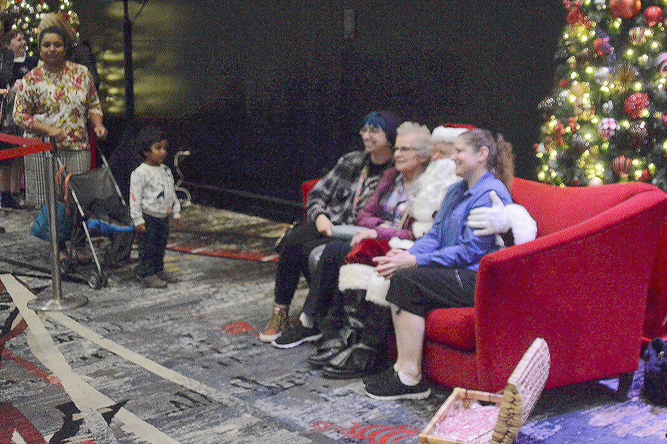 The prices these Christmas trees go for could shock you (slide show