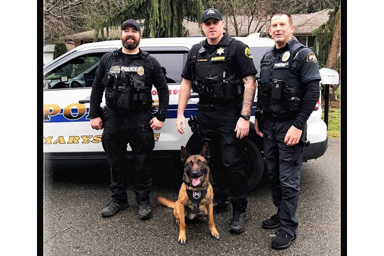 Shoplifters caught after bystanders shoot out car tires