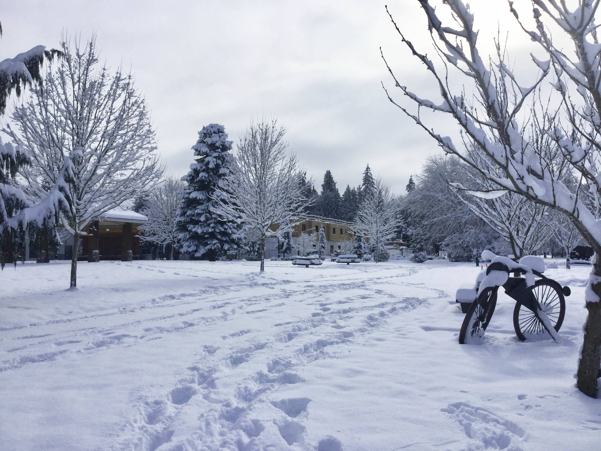 Year’s first blast of snow blankets Arlington; another round on the way this weekend (slide show)