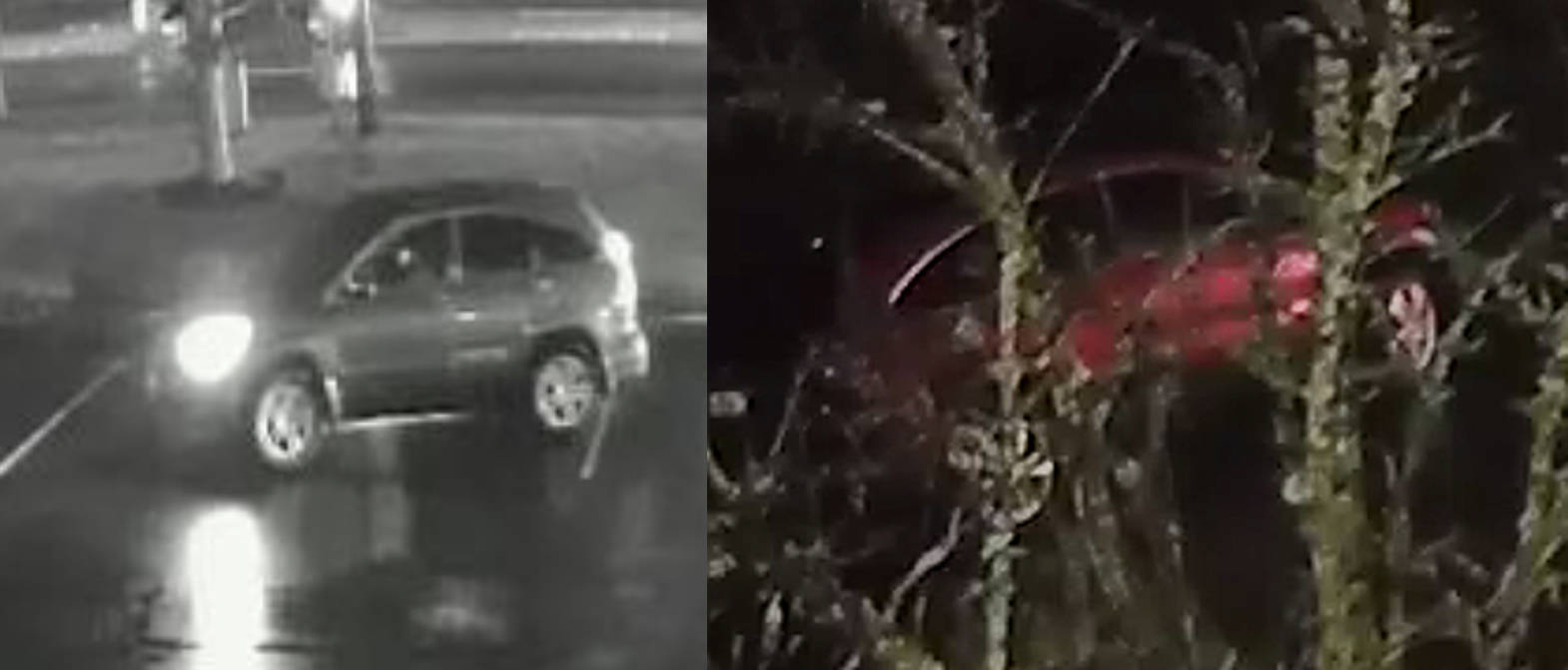 M’ville Police seek public’s help to ID possible witnesses to fatal hit and run