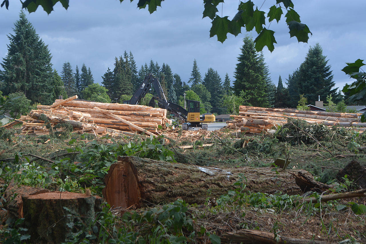 ‘Spook Woods’ become ‘Majestic’ housing development