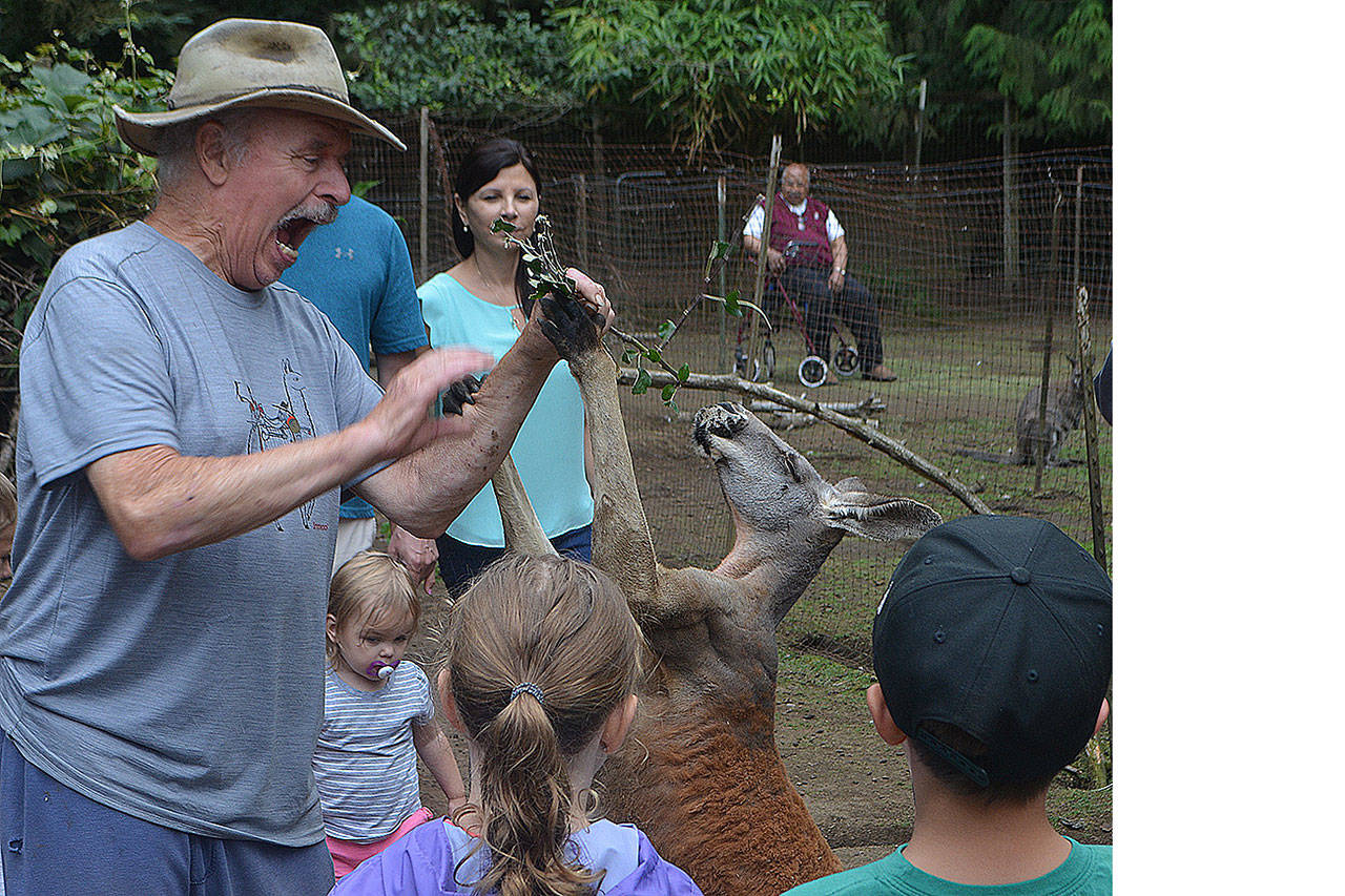People keep hopping to Arlington kangaroo farm (slide show)