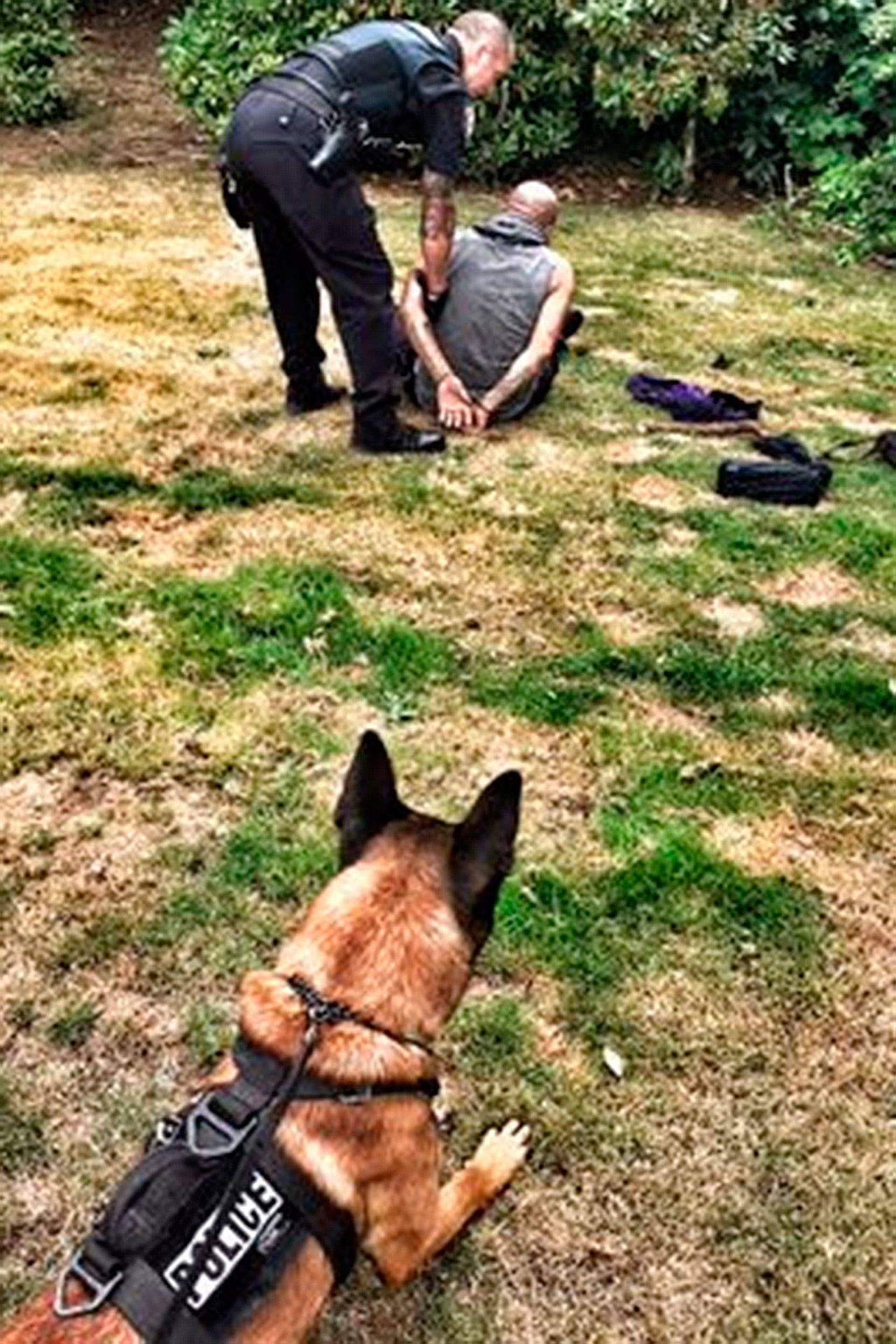 Marysville K9 officer helps catch duo with warrants Marysville Globe