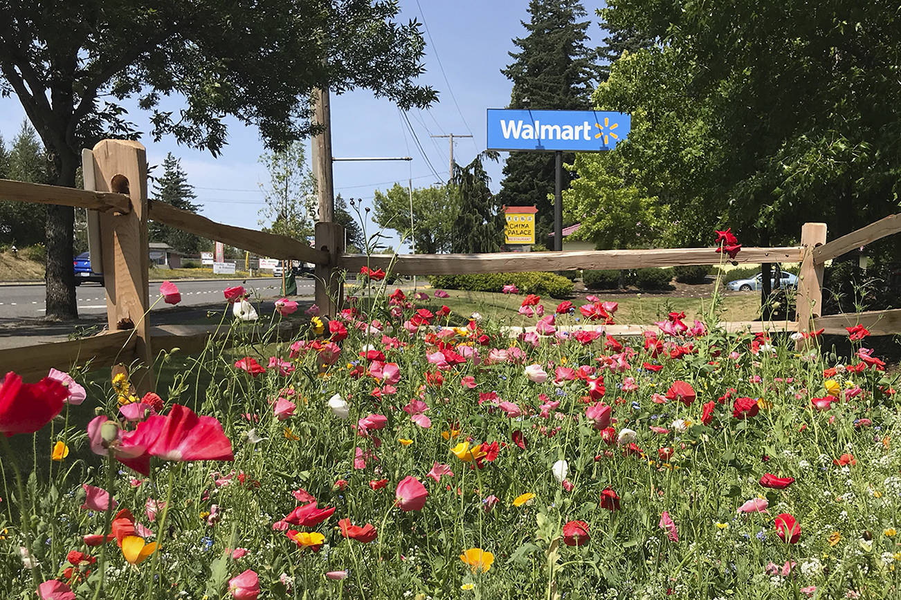 Smokey Point Walmart chosen for pollinator garden pilot project