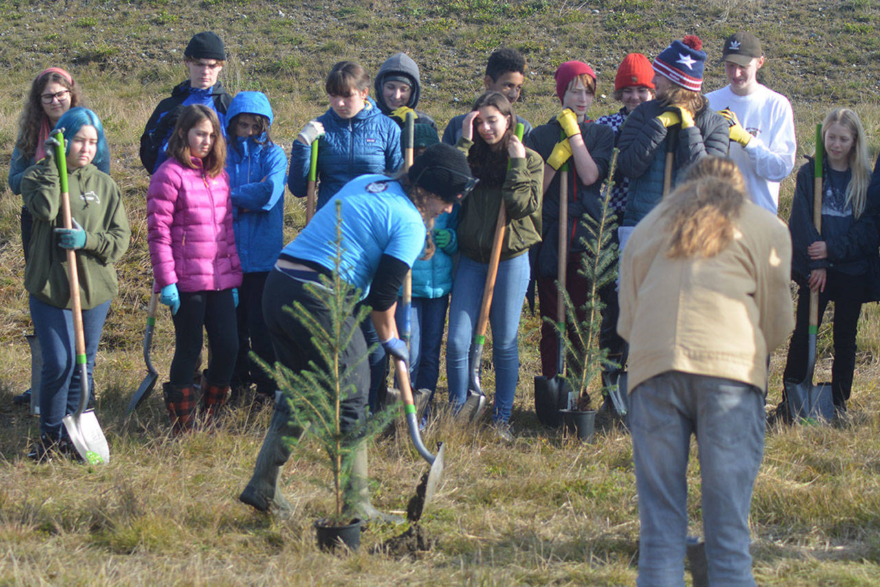 Natasha Coumou shows volunteers how to plant a tree Wednesday. (Steve Powell/Staff Photo)