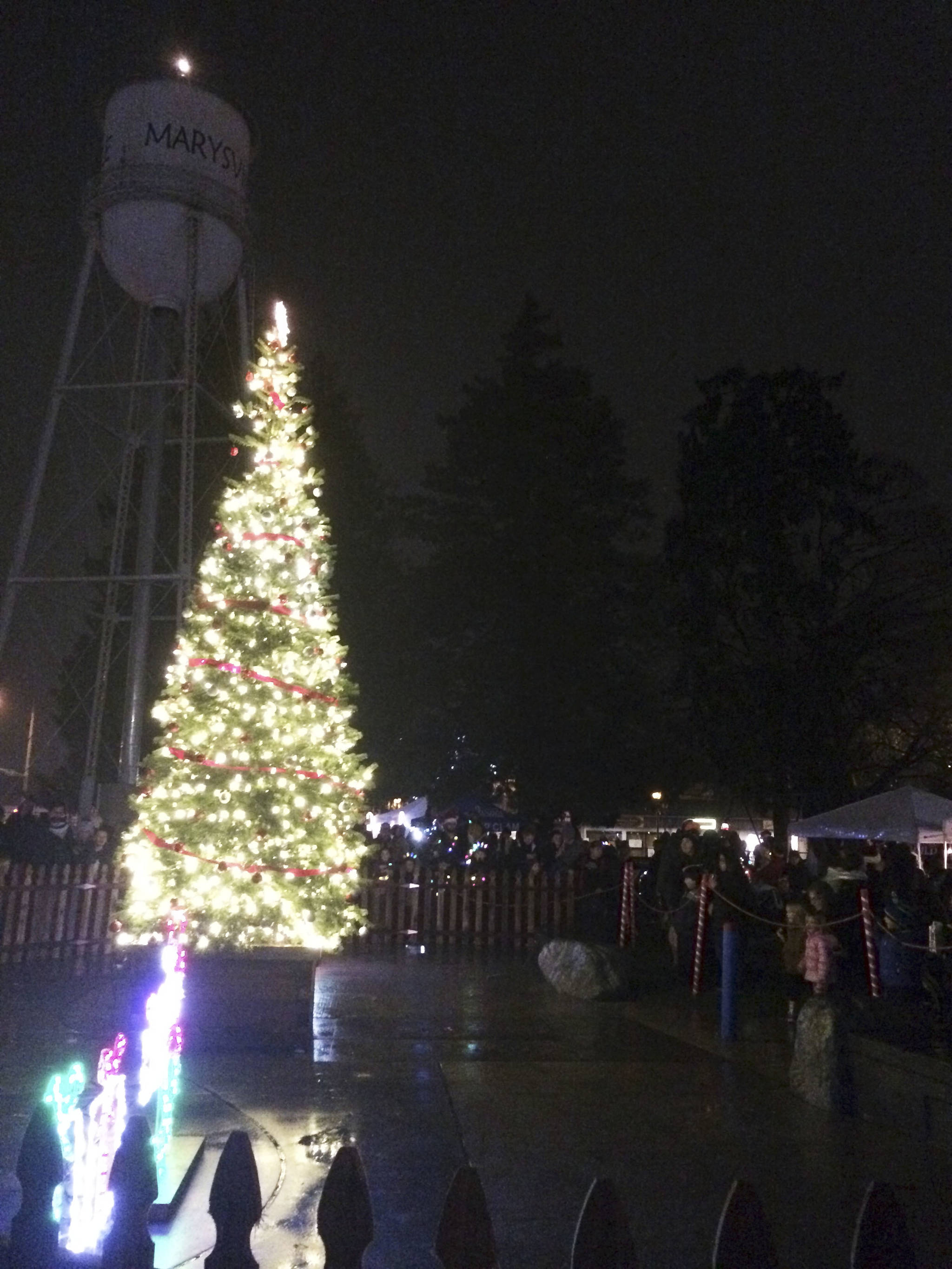 A first-time live tree lighting at the Merrysville for the Holidays winter celebration Saturday in Comeford Park officially ushered in the holiday season in Marysville.