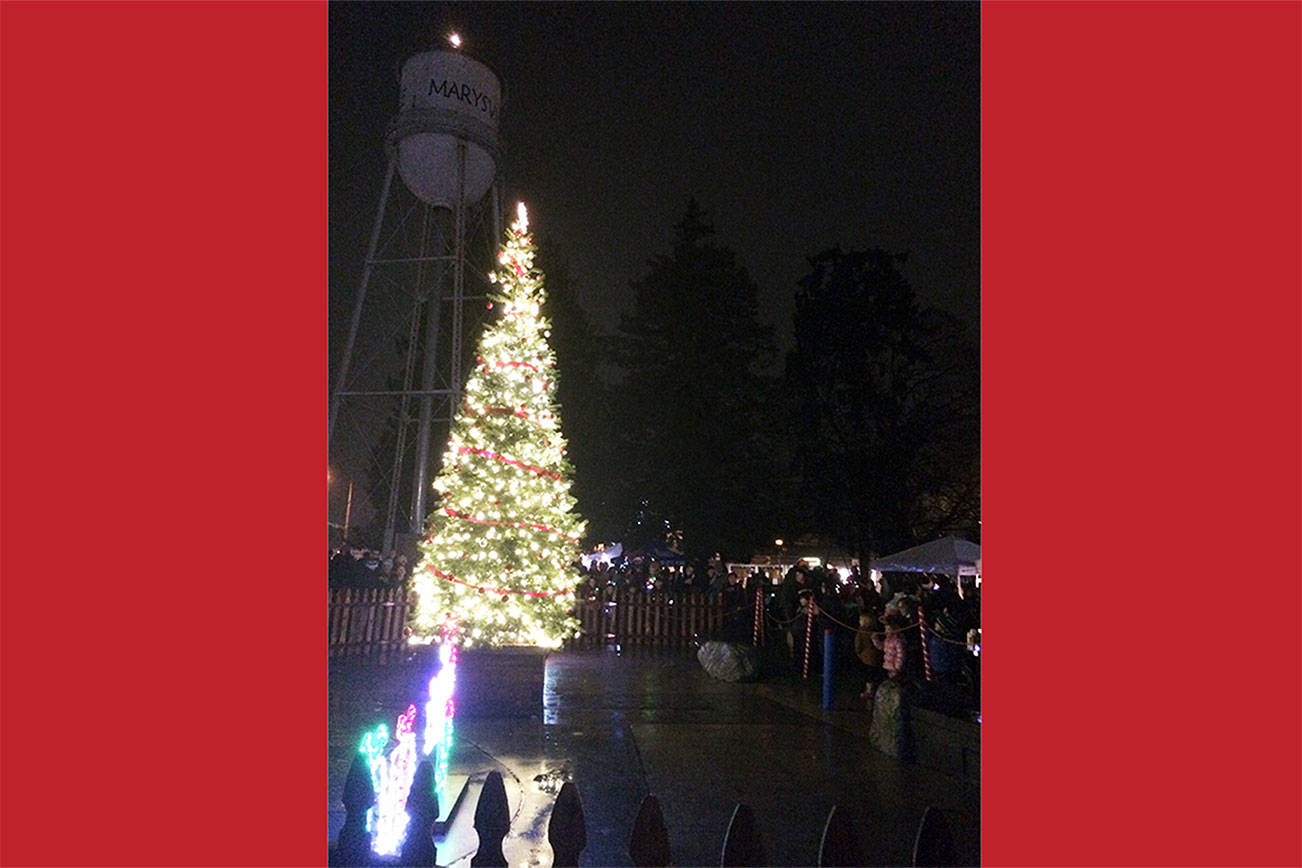 Live tree lighting celebration, parade, guide Merrysville into holiday season