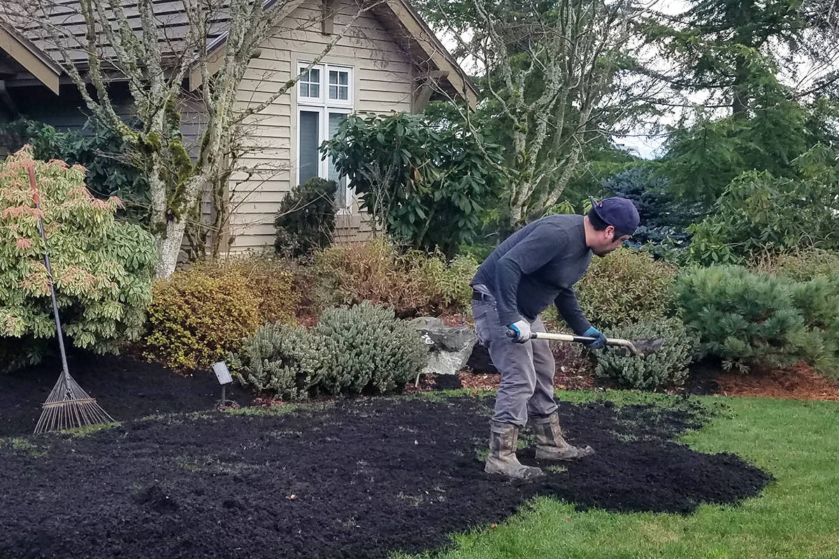 Using compost to create a yard to be proud of